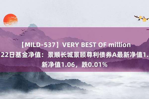 【MILD-537】VERY BEST OF million 13 4時間 7月22日基金净值：景顺长城景颐尊利债券A最新净值1.06，跌0.01%