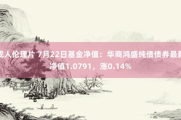 成人伦理片 7月22日基金净值：华商鸿盛纯债债券最新净值1.0791，涨0.14%