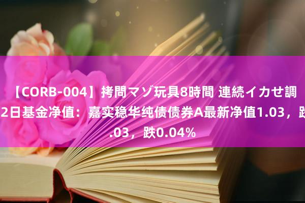 【CORB-004】拷問マゾ玩具8時間 連続イカせ調教 7月22日基金净值：嘉实稳华纯债债券A最新净值1.03，跌0.04%