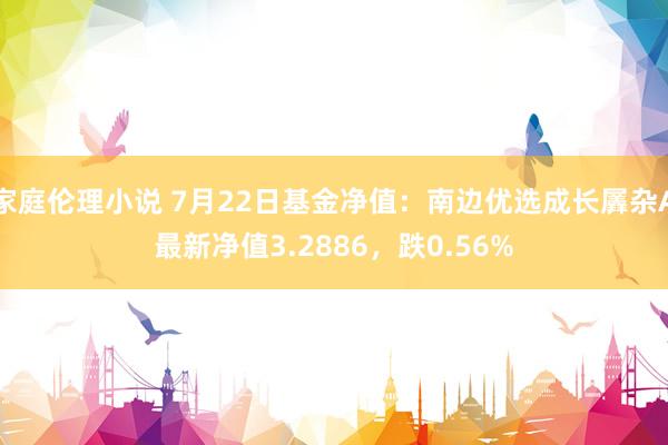 家庭伦理小说 7月22日基金净值：南边优选成长羼杂A最新净值3.2886，跌0.56%