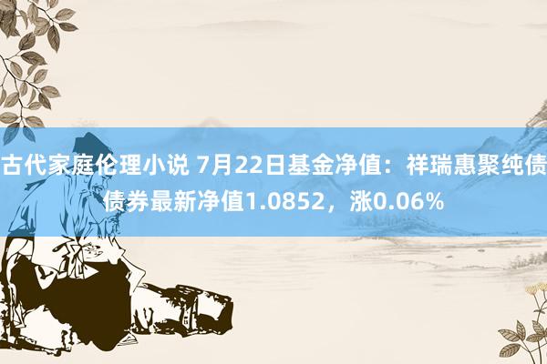 古代家庭伦理小说 7月22日基金净值：祥瑞惠聚纯债债券最新净值1.0852，涨0.06%