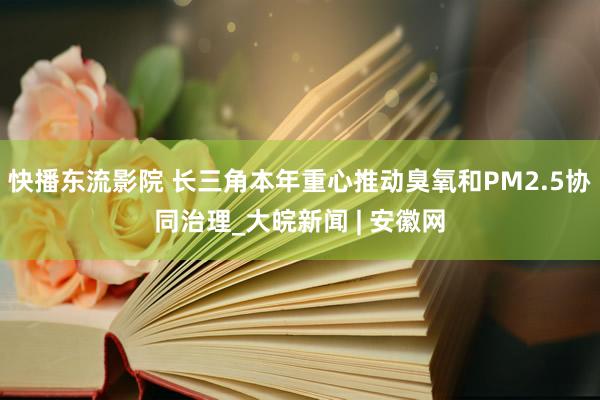 快播东流影院 长三角本年重心推动臭氧和PM2.5协同治理_大皖新闻 | 安徽网