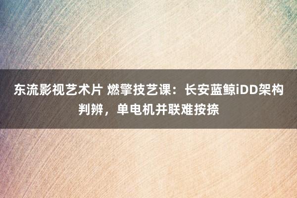 东流影视艺术片 燃擎技艺课：长安蓝鲸iDD架构判辨，单电机并联难按捺