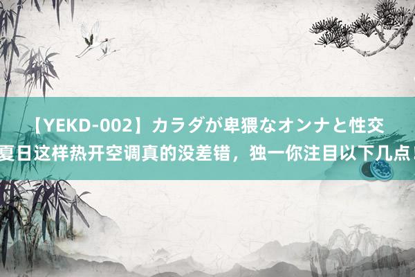 【YEKD-002】カラダが卑猥なオンナと性交 夏日这样热开空调真的没差错，独一你注目以下几点！