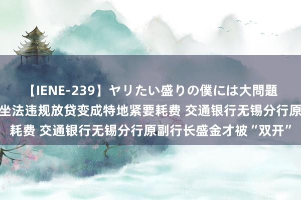 【IENE-239】ヤリたい盛りの僕には大問題！裸族ばかりの女子寮 坐法违规放贷变成特地紧要耗费 交通银行无锡分行原副行长盛金才被“双开”