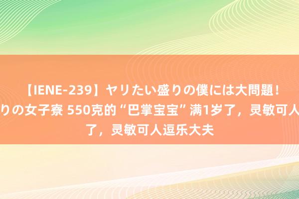 【IENE-239】ヤリたい盛りの僕には大問題！裸族ばかりの女子寮 550克的“巴掌宝宝”满1岁了，灵敏可人逗乐大夫