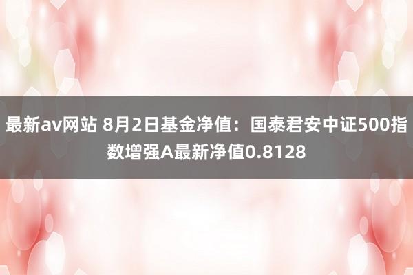 最新av网站 8月2日基金净值：国泰君安中证500指数增强A最新净值0.8128