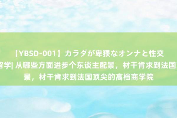 【YBSD-001】カラダが卑猥なオンナと性交 ザ★ベスト 法国留学| 从哪些方面进步个东谈主配景，材干肯求到法国顶尖的高档商学院