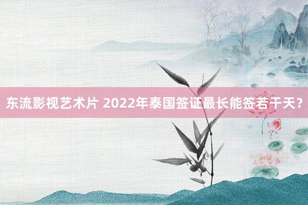 东流影视艺术片 2022年泰国签证最长能签若干天？