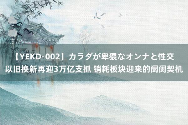 【YEKD-002】カラダが卑猥なオンナと性交 以旧换新再迎3万亿支抓 销耗板块迎来的阛阓契机