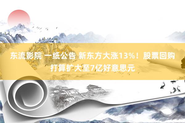 东流影院 一纸公告 新东方大涨13%！股票回购打算扩大至7亿好意思元