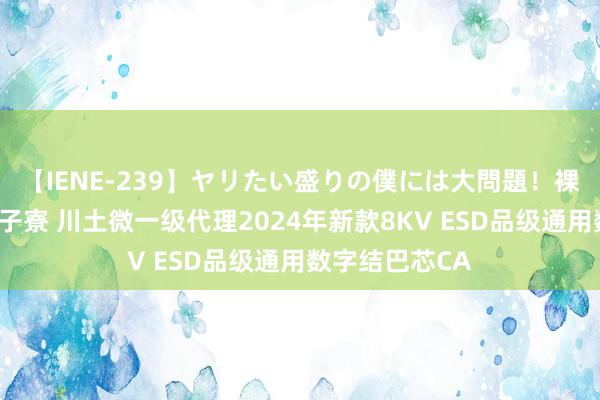 【IENE-239】ヤリたい盛りの僕には大問題！裸族ばかりの女子寮 川土微一级代理2024年新款8KV ESD品级通用数字结巴芯CA