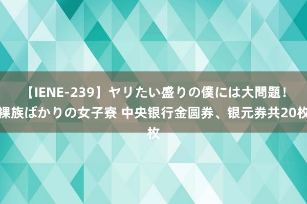 【IENE-239】ヤリたい盛りの僕には大問題！裸族ばかりの女子寮 中央银行金圆券、银元券共20枚