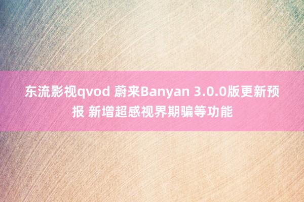 东流影视qvod 蔚来Banyan 3.0.0版更新预报 新增超感视界期骗等功能