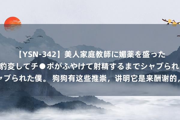 【YSN-342】美人家庭教師に媚薬を盛ったら、ドすけべぇ先生に豹変してチ●ポがふやけて射精するまでシャブられた僕。 狗狗有这些推崇，讲明它是来酬谢的，宠主就偷着乐吧