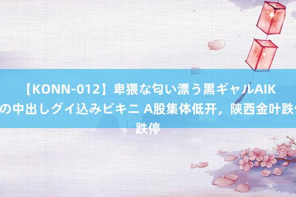 【KONN-012】卑猥な匂い漂う黒ギャルAIKAの中出しグイ込みビキニ A股集体低开，陕西金叶跌停