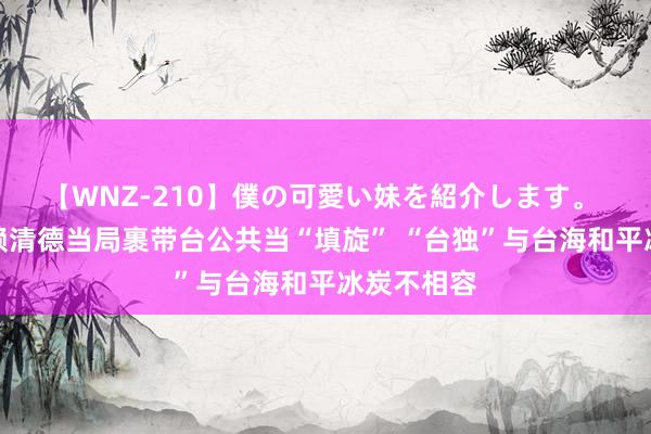 【WNZ-210】僕の可愛い妹を紹介します。 国台办：赖清德当局裹带台公共当“填旋” “台独”与台海和平冰炭不相容