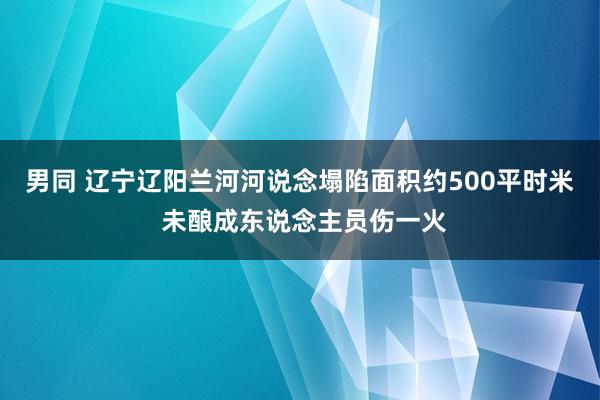 男同 辽宁辽阳兰河河说念塌陷面积约500平时米 未酿成东说念主员伤一火