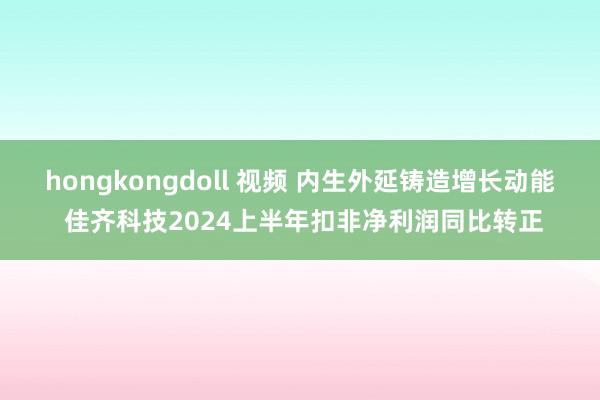 hongkongdoll 视频 内生外延铸造增长动能 佳齐科技2024上半年扣非净利润同比转正