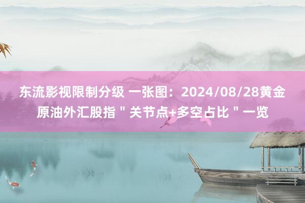 东流影视限制分级 一张图：2024/08/28黄金原油外汇股指＂关节点+多空占比＂一览