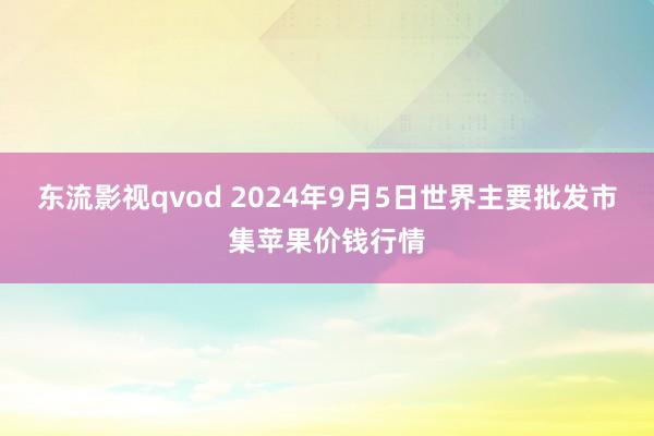 东流影视qvod 2024年9月5日世界主要批发市集苹果价钱行情