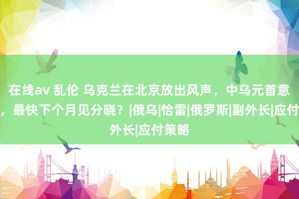 在线av 乱伦 乌克兰在北京放出风声，中乌元首意会面，最快下个月见分晓？|俄乌|恰雷|俄罗斯|副外长|应付策略