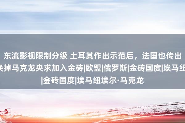 东流影视限制分级 土耳其作出示范后，法国也传出风声，命令换掉马克龙央求加入金砖|欧盟|俄罗斯|金砖国度|埃马纽埃尔·马克龙